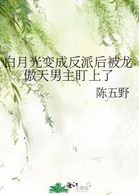 ���¹��ɷ��ɺ�����������������