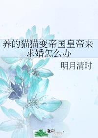 ����èè��۹��ʵ��������ô��