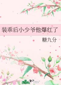装乖后小少爷他爆红了