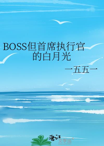 BOSS����ϯִ�йٵİ��¹�