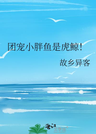 �ų�С�����ǻ�����