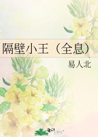 隔壁小王(全息)