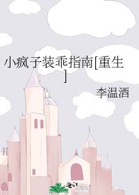 С����װ��ָ��[����]