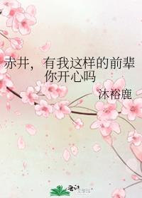 赤井,有我这样的前辈你开心吗