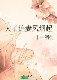 太子追妻风烟起