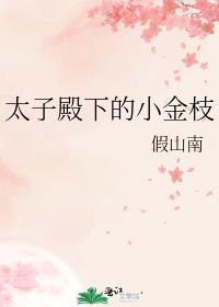 ̫�ӵ��µ�С��֦