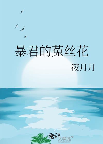 ��������˿��