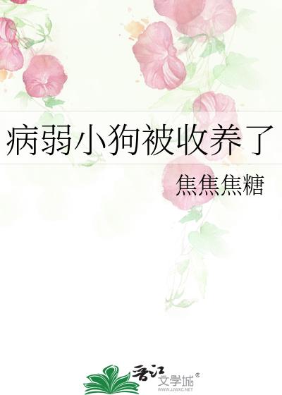 ����С����������