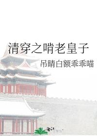 清穿之啃老皇子