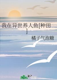 ��������������[����]