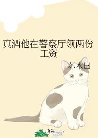 ������ھ����������ݹ���