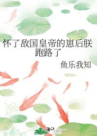 ���˵й��ʵ۵��̺�����·��