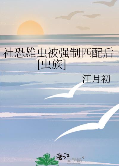 ����۳汻ǿ��ƥ���[����]