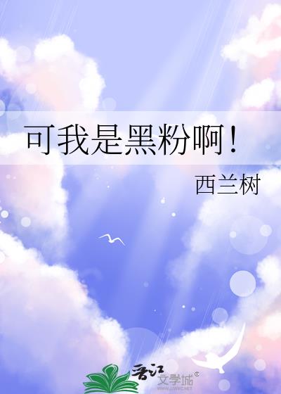 可我是黑粉啊!