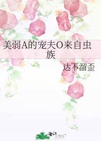 美弱A的宠夫O来自虫族