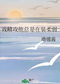 Ϸ������������װ����