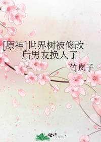 [ԭ��]���������޸ĺ����ѻ�����