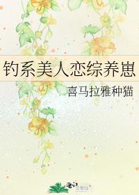 ��ϵ������������