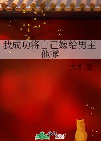 �ҳɹ����Լ��޸���������