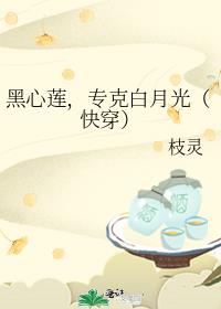 ��������ר�˰��¹⣨�촩��