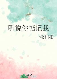 ��˵������