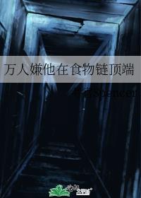 ����������ʳ��������