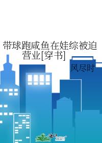 ���������������۱���Ӫҵ[����]