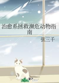 ����ϵ���ȱ�Σ����ָ��