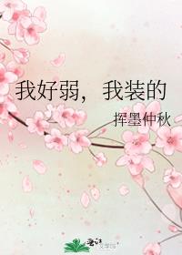 �Һ�������װ��