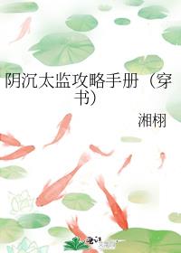 ����̫�๥���ֲᣨ���飩