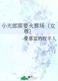 小夫郎需要火葬场(女尊)