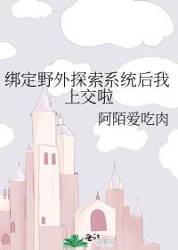 ��Ұ��̽��ϵͳ�����Ͻ���