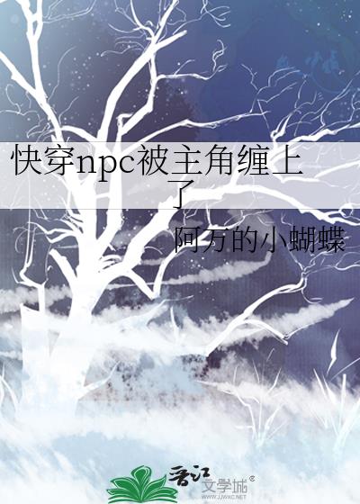 �촩npc�����ǲ�����