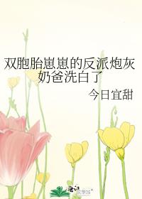 ˫��̥���̵ķ����ڻ��̰�ϴ����