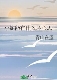 С������ʲô����˼