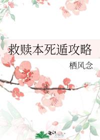 ����С�����������������