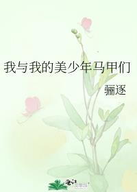 我与我的美少年马甲们
