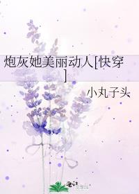 �ڻ�����������[�촩]