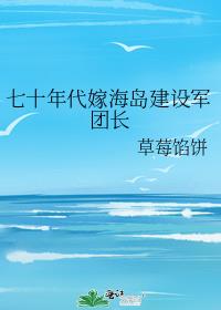 七十年代嫁海岛建设军团长