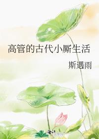 高管的古代小厮生活