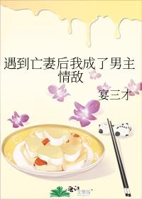 遇到亡妻后我成了男主情敌