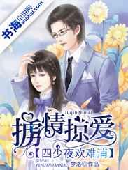 掳情掠爱:四少夜欢难消