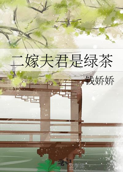 二嫁夫君是绿茶