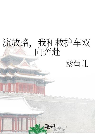 流放路,我和救护车双向奔赴