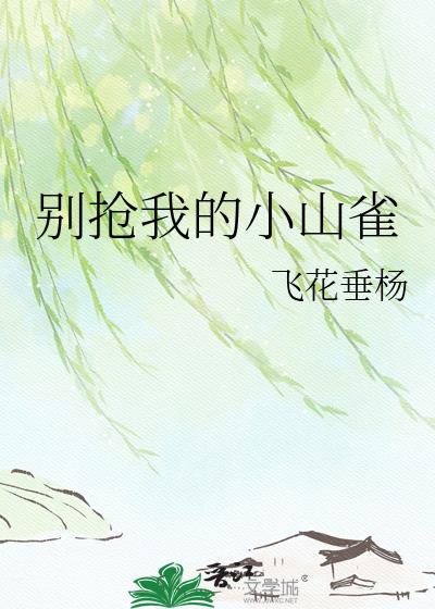 别抢我的小山雀