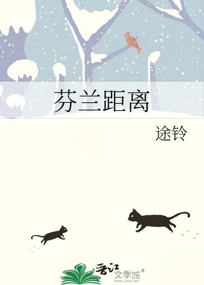 芬兰距离