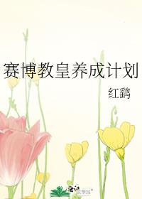 赛博教皇养成计划